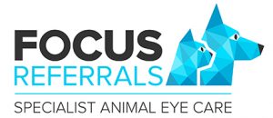 Focus Referrals