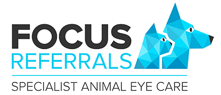 Focus Referrals