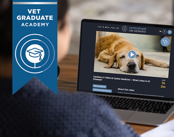 Vet Graduate Academy Silver Package