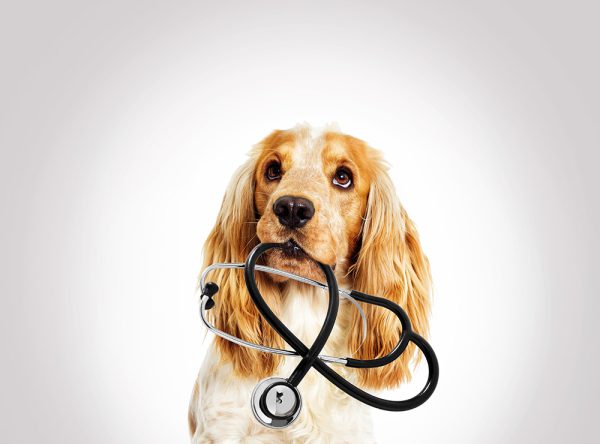Case-based Approach to Cardiac Emergencies