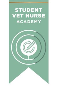 SVN Academy ribbon