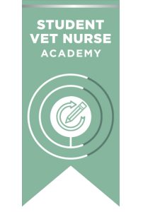 SVN Academy ribbon