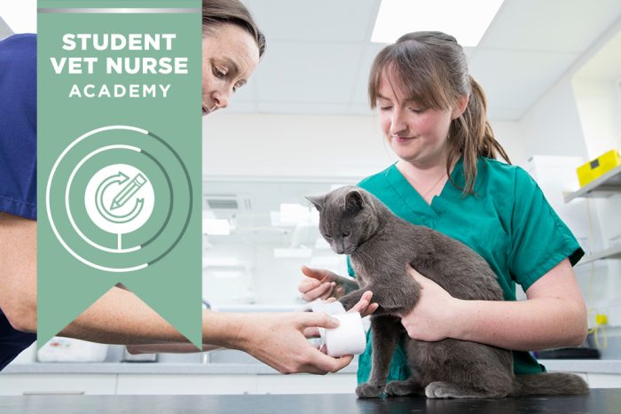 Student Vet Nurse Academy Silver Package