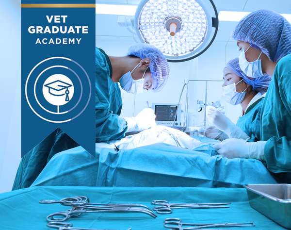 Vet Graduate Academy Gold Package