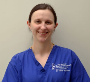 Dr. Sarah Stewart DVM, DACVIM, PGCertVetEd FHEA, MRCVS