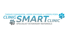 Smart Clinic