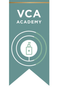 VCA Academy ribbon