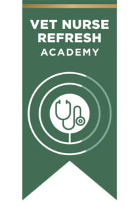 NR Academy ribbon