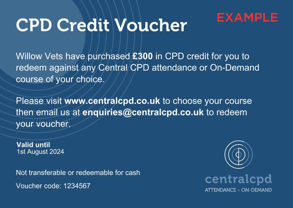 Pre-paid credit voucher example