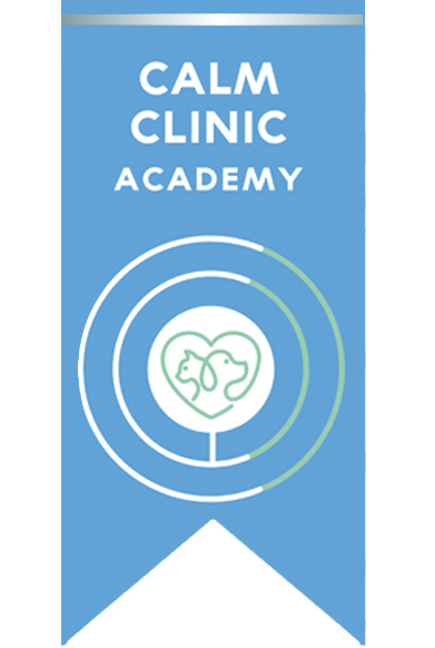 Calm Clinic Academy Silver