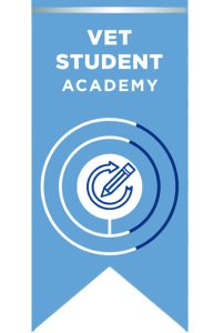 SV Academy ribbon