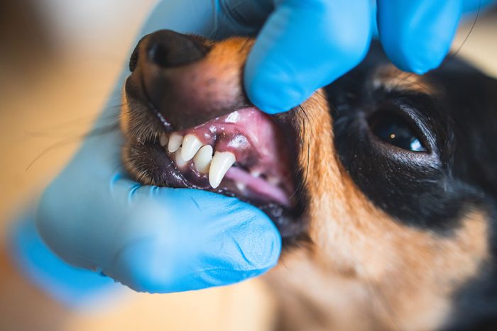 Confidence in Dental Nursing
