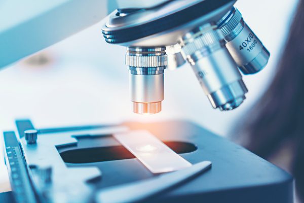 Lymphoma and Mast Cell Tumours: Practical Approaches to Oncology in First Opinion Practice