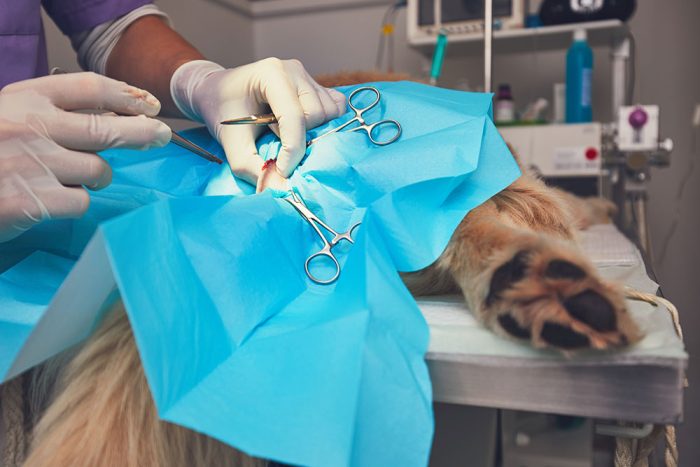 The Nurses' Role in Supporting Surgical Cancer Patients