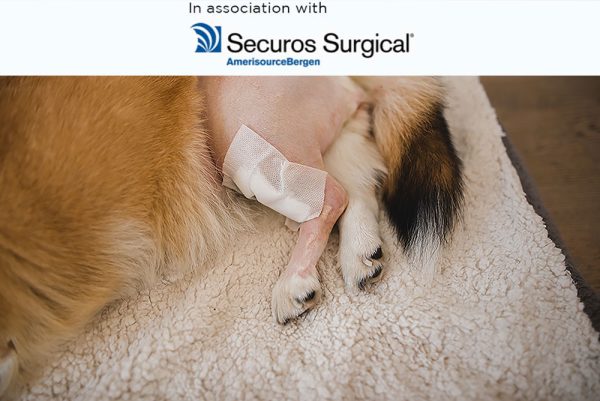 Tibial Tuberosity Advancement