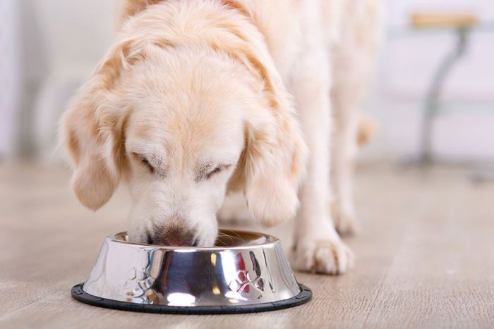 Getting to Grips with Gut Disease