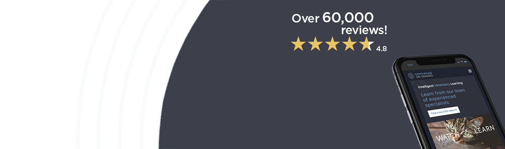 On-Demand banner