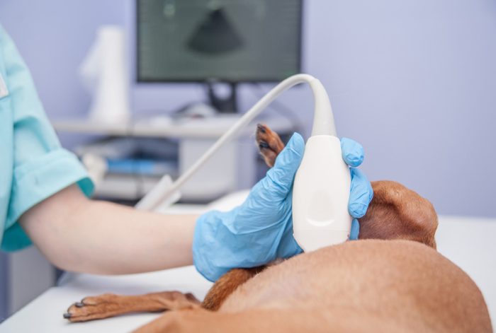 Thoracic Ultrasonography
