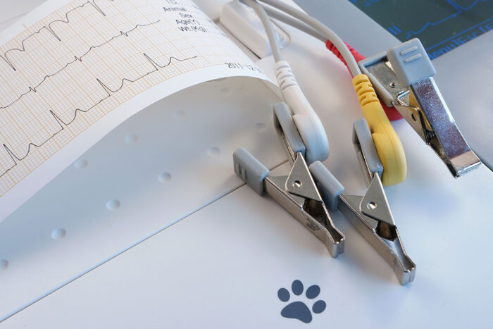 Cardiac Arrhythmias in Practice: From Diagnosis to Management