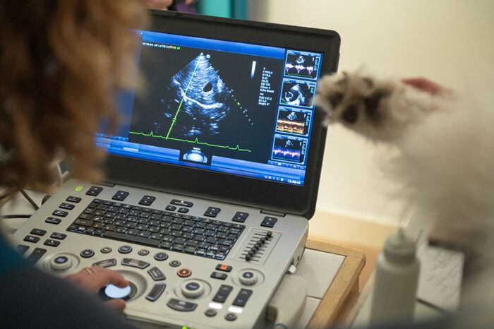 Practical Advanced Abdominal Ultrasound