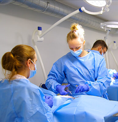 Small Animal Soft Tissue Surgery PGCert
