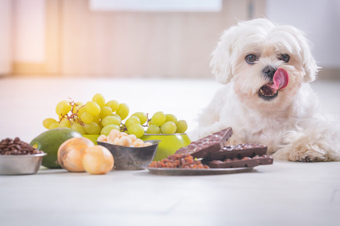 Tackling Toxins