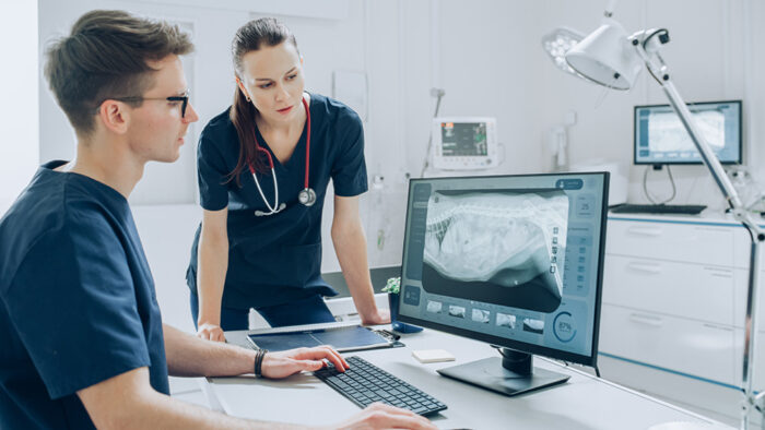 Diagnostic Imaging for Nurses: 'Developing' Skills and Images