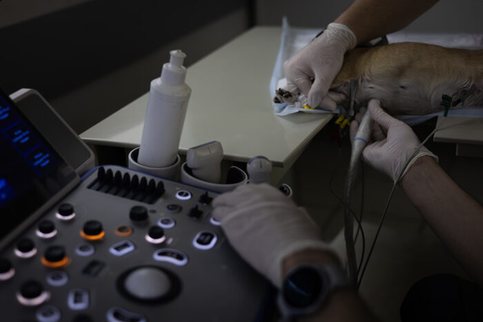 Ultrasound Quick Guides: Echocardiography