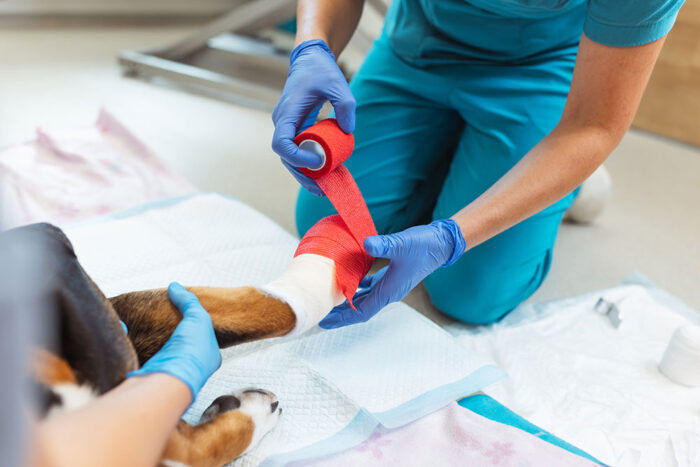 Wound Management