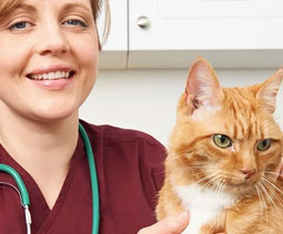 Nurse Postgraduate Programmes