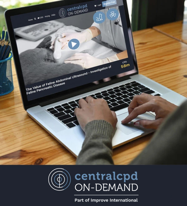Ultrasound On-Demand