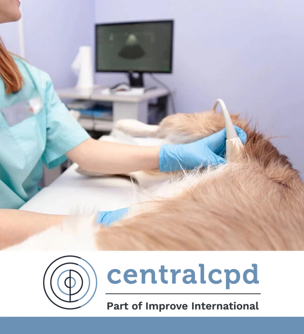 Ultrasound attendance